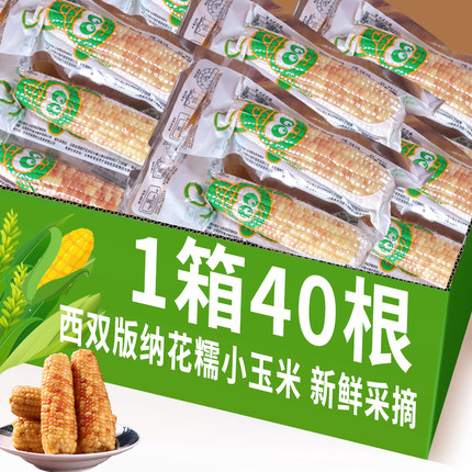 10斤云南西双版纳香糯小玉米新鲜真空即食傣家甜黏糯玉米棒早餐