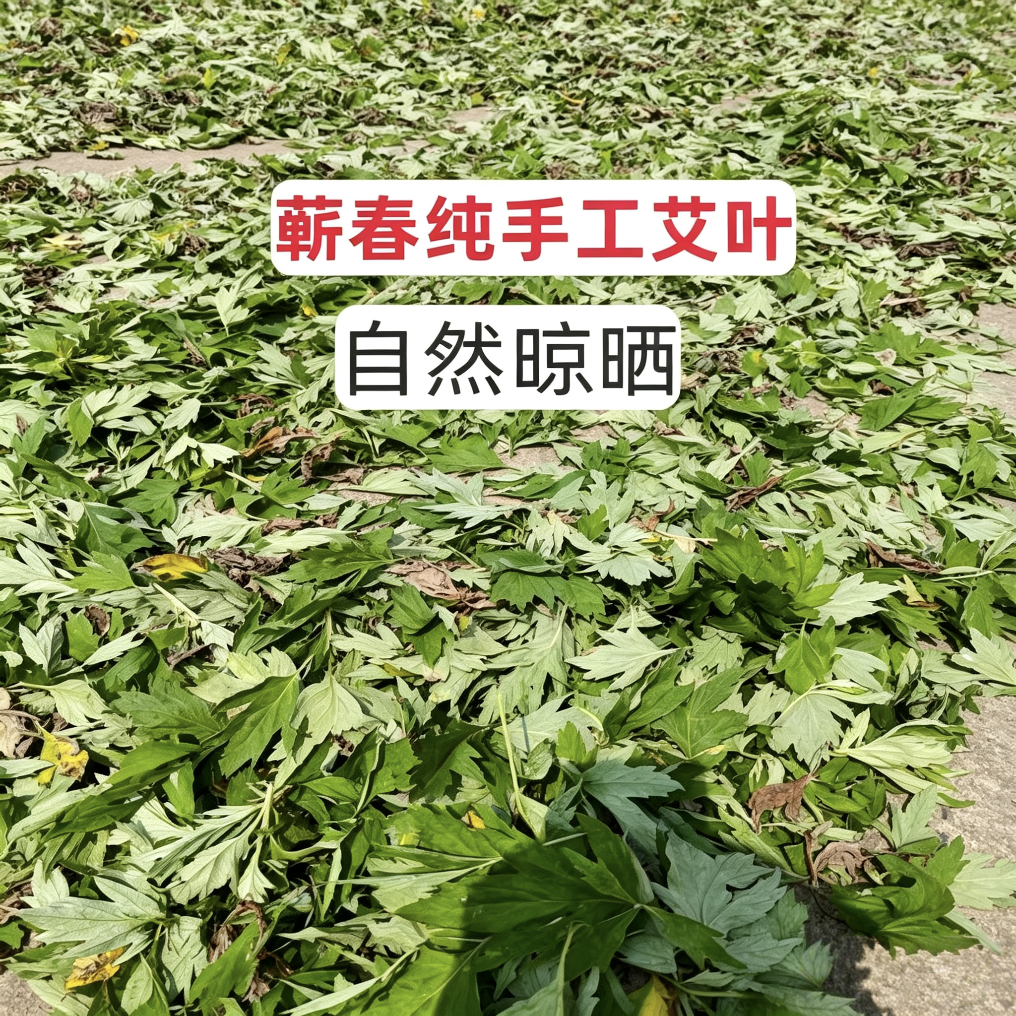 蕲春端午头茬艾叶泡脚泡澡艾草月子洗澡居家日常用艾干纯艾叶散装