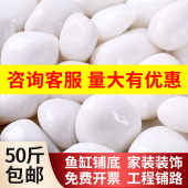 白色鹅卵石头铺地雨花石原石子批发天然鱼缸底部户外庭院小石头