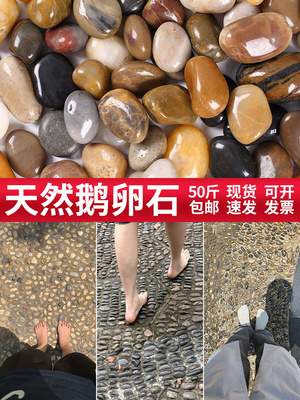25kg天然彩色鹅卵石足部按摩小工具足垫天然室内和室外原石大玉花