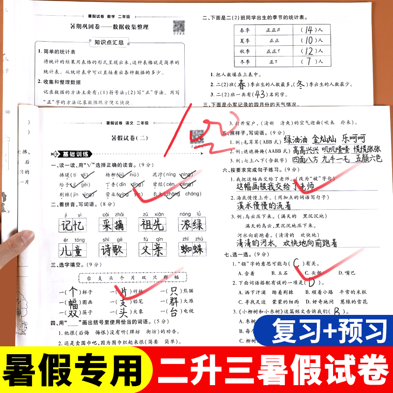 暑假试卷二年级暑假作业全套