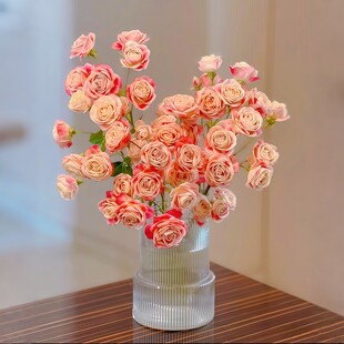 2026新款 饰水培客厅桌面摆件 透明玻璃花瓶插花高级感鲜花氛围感装