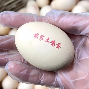 鸡蛋鸭蛋印章印字软胶章logo鸡蛋商标品牌印章可定制广告电话印章