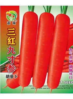 九三红胡XLQ萝卜子脆甜水果蔬产菜萝卜菜籽高春秋四季种田园蔬菜