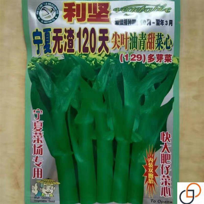 120天广东粗条油青菜心种子40天高产多芽多次收尖叶耐寒抗病菜籽