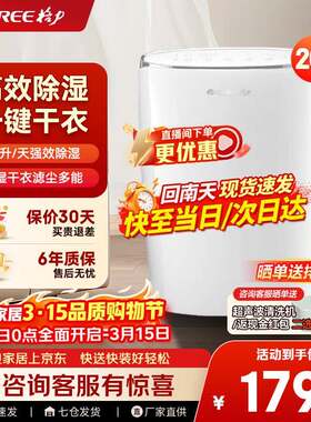 格.力家用干衣除湿机 20L/日除湿量回南天除霉干衣智能控湿DH20EF