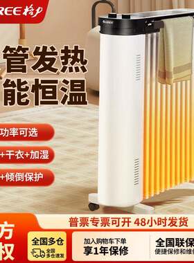 格.力（GR.EE）电暖器电热油汀双管发热智能恒温NDY20-S6022白+黑