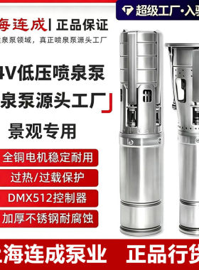 DC24V低压喷泉泵DMX512不锈钢音乐喷泉潜水泵连成低压喷泉泵
