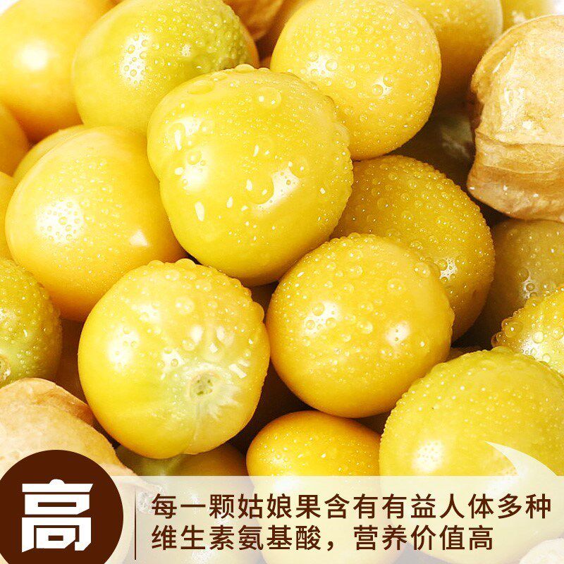 水果香姑娘特产金姑娘东北花姑娘姑娘灯笼果新鲜5斤