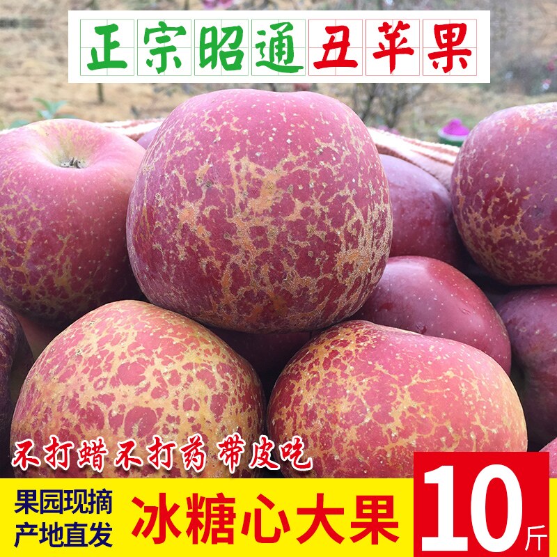 云南昭通丑苹果冰糖心苹果水果脆甜红富士10斤苹果新鲜整箱