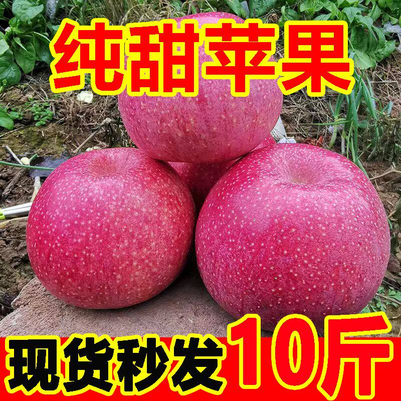 甘肃秦冠粉苹果现摘现发可刮泥新鲜孕妇水果宝宝老人吃不打蜡10斤