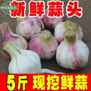 2021年新鲜蒜头5斤紫皮大蒜头云南新蒜湿蒜糖醋腌制农家蔬菜