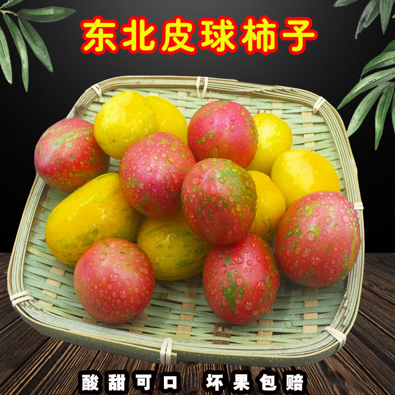 2023年新开园东北皮球柿子自家小园柿子虎皮柿子新鲜小番茄4斤