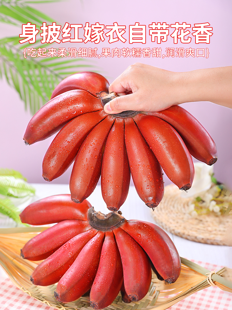 福建红美人香蕉9斤装新鲜当季