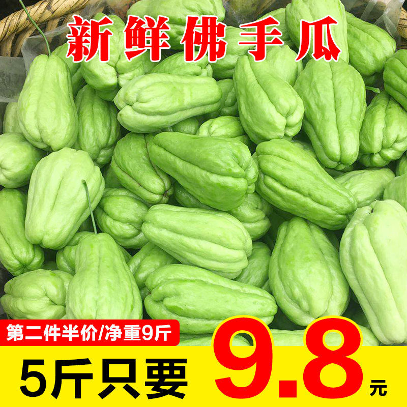 贵州新鲜佛手瓜5斤高原农家自种蔬菜洋瓜捧瓜丰收瓜窝瓜寿瓜包邮