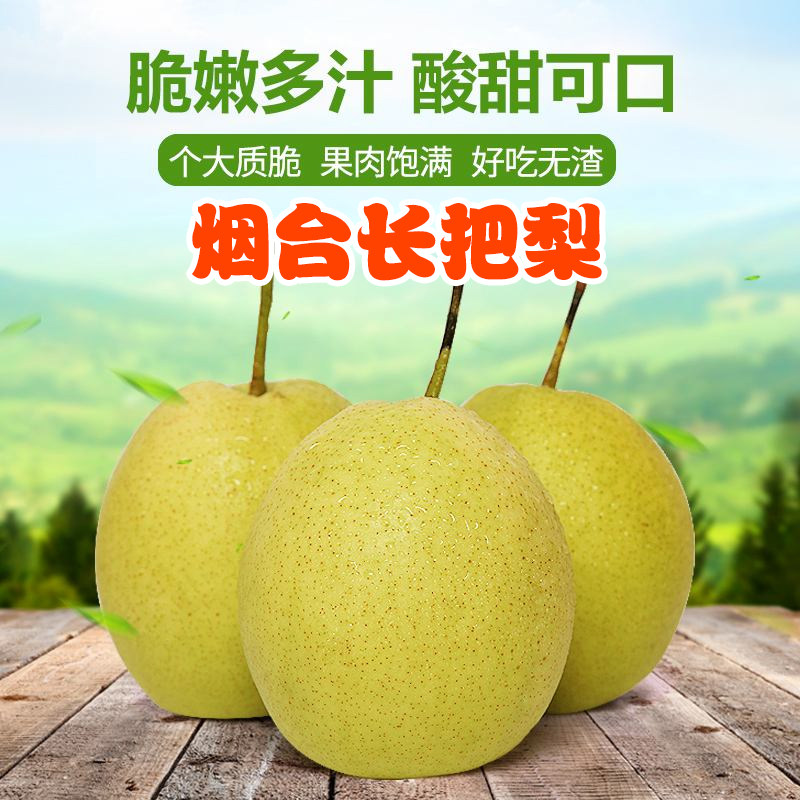 正宗龙口长把梨当季现摘鸭梨孕妇水果脆酸甜多汁5斤一箱包邮