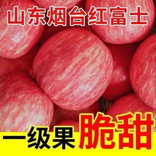 平果整箱2023年9斤苹果 新鲜脆甜烟台栖霞水果苹果红富士当季