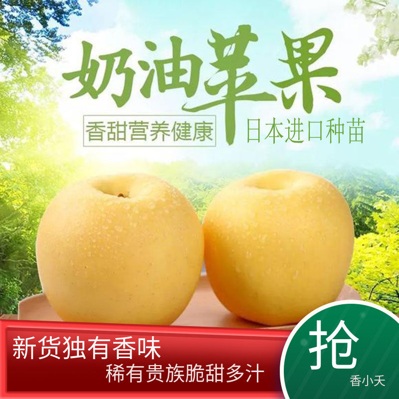 黄金奶油苹果新鲜9斤甜脆汁牛奶果白苹果富士野生自然熟孕妇水果