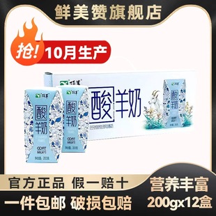 10月产顶羊酸羊奶200g 12盒整箱学生儿童营养早餐酸奶羊奶新日期