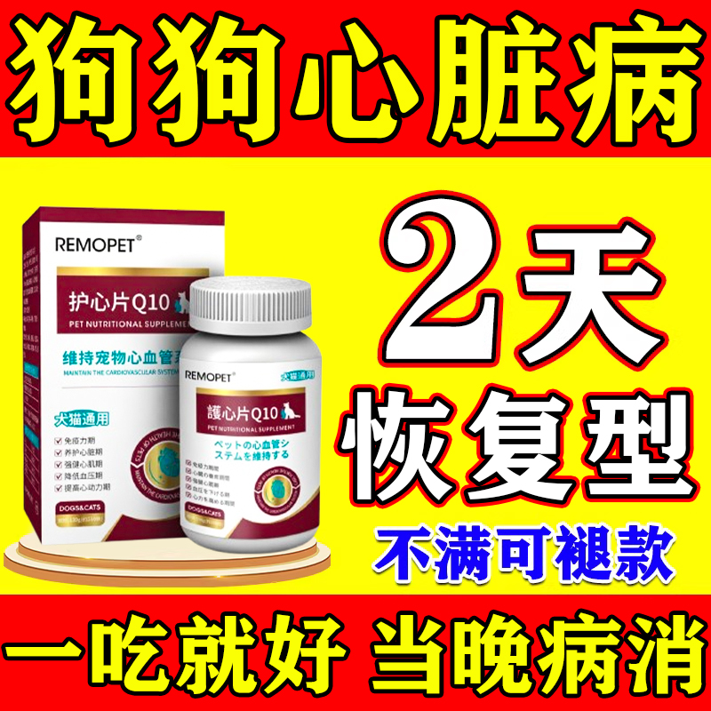 【一吃看效】宠物护心片