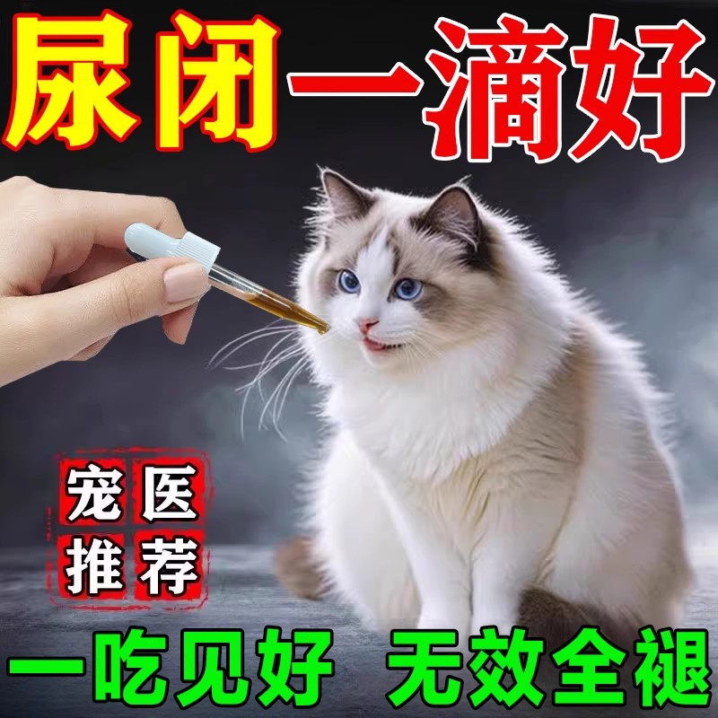 猫尿闭特效药泌尿系统药泌尿通消炎利尿通尿频尿血尿路感染宠物