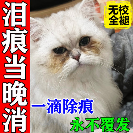 猫咪眼药水去泪痕狗狗去泪痕滴眼液清洗猫狗流泪眼屎抗菌消炎药水