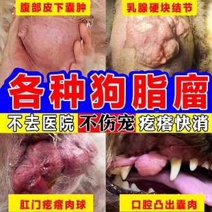 益消康狗狗肿瘤快消特新效期药乳腺专用大团子活清解片宠物脂肪瘤