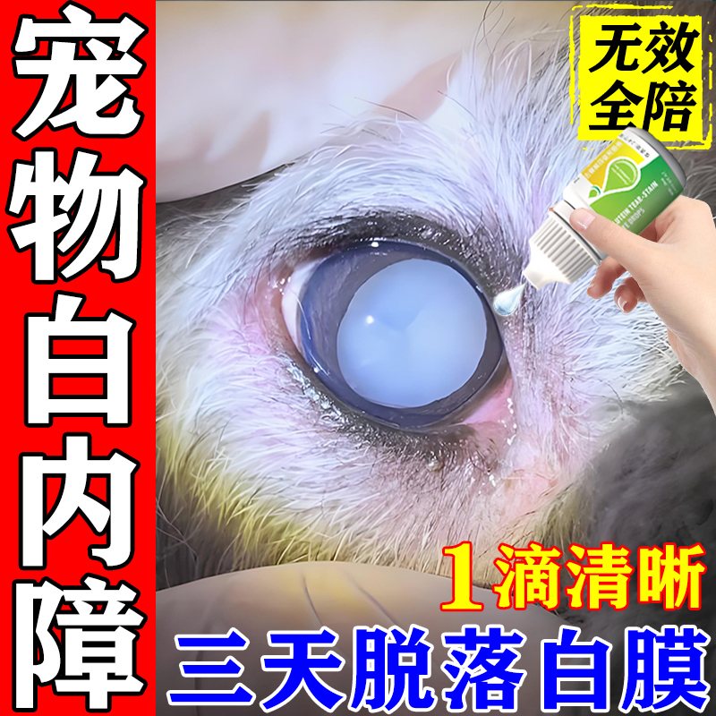 宠物白内障抑菌消炎一次见效