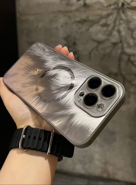 适用iPhone16promax磁吸MagSafe手机壳苹果17Air新款羽毛背板防摔套15pro磨砂男14高级感女13带镜头膜防指纹