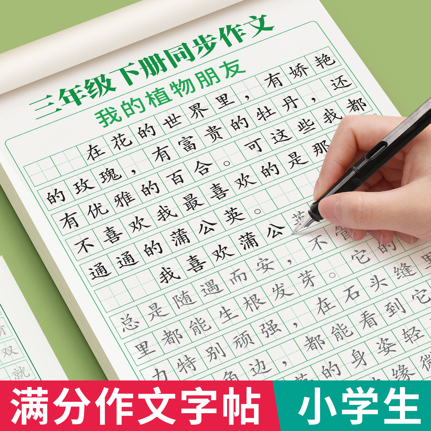 满分作文练字帖小学生专用字帖三年级四年级五六年级上下册语文同步字帖人教版每日一练好词好句优美句子积累练习钢笔书法练字本