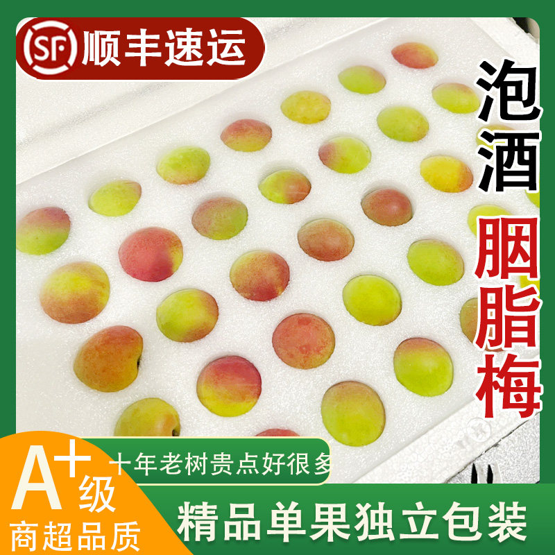 【顺丰精品】诏安胭脂梅青梅鲜果新鲜水果现摘泡酒酵素酸梅子红梅