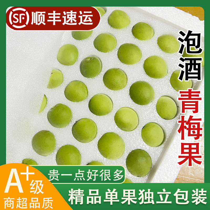 【现货速发】顺丰精品单果独立青梅鲜果泡酒酵素酸梅子新鲜水果