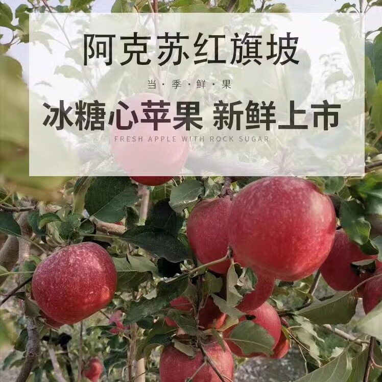 新疆阿克苏冰糖心苹果边疆果园出品鲜果当季整箱11月3日左右发货