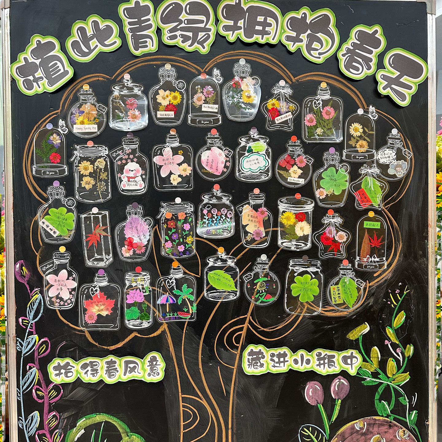 植树节DIY环创干花书签班级黑板报瓶子里的春天自制植物标本透明塑