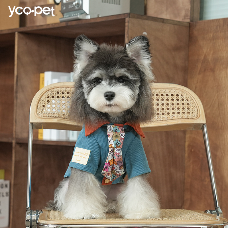 狗狗衣服2025新款秋季小型犬秋冬衬衫雪纳瑞领带小狗狗外出狗衣服