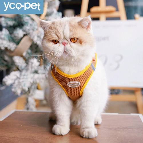 猫咪牵引绳防挣脱小型猫绳猫绳子