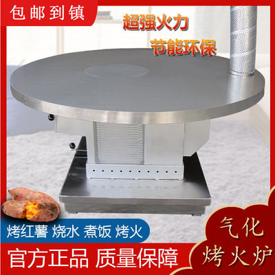 农村烧柴烧煤气化炉无烟