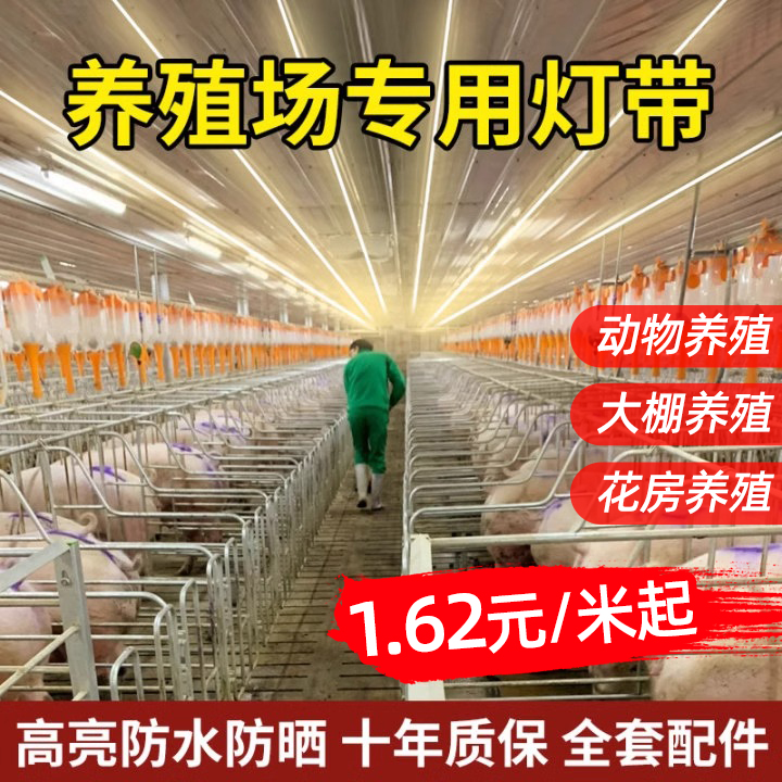 led养殖场专用灯带户外防水220V猪圈驱蚊神器户外超亮照明亮化灯