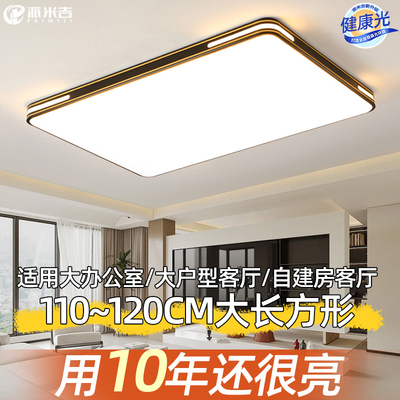 客厅吸顶灯大尺寸120cm-耐用10年