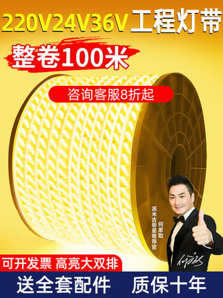 户外防水Led灯条220V超亮工程外墙户外客厅天花板气氛暖灯暖白光