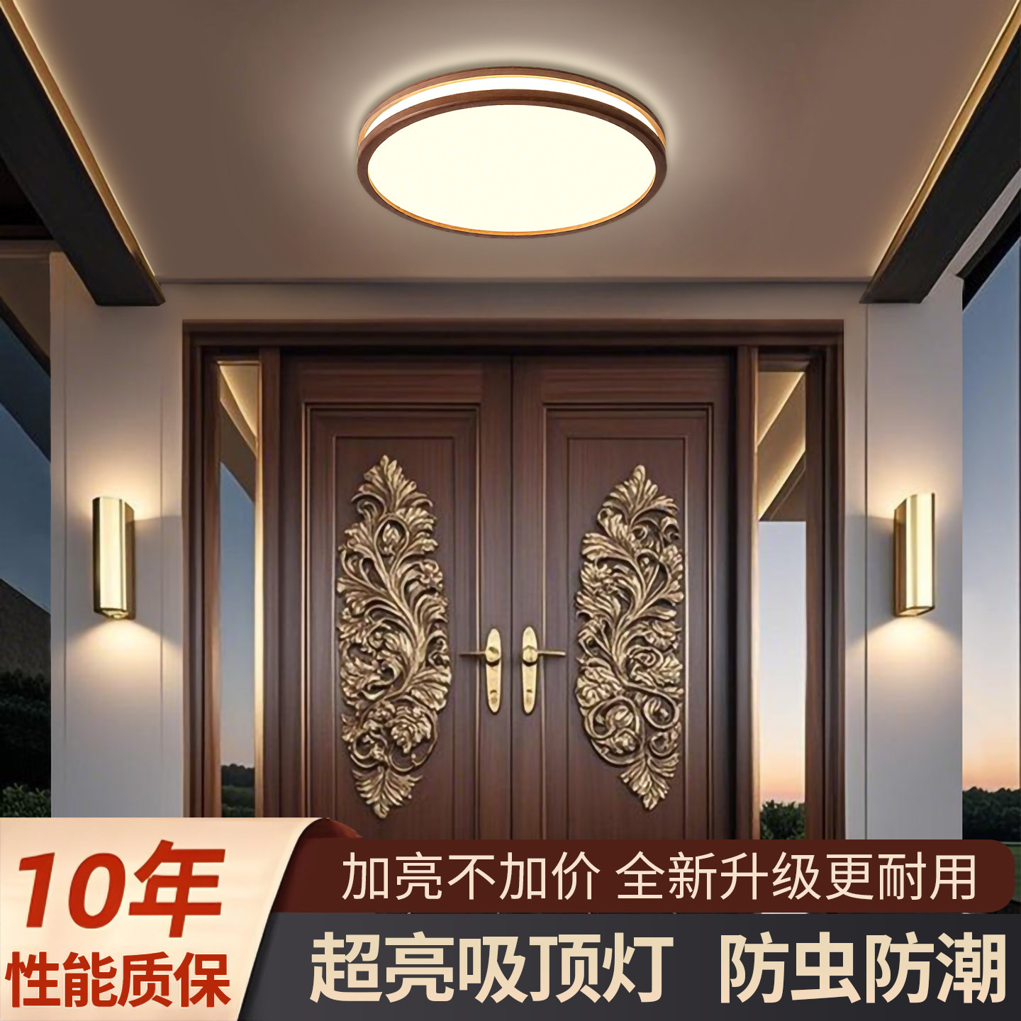 别墅大门口吸顶灯入户大门自建房室外走廊庭院阳台家用防潮防虫灯