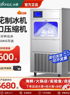 冰鹿纯雪花制冰机商用制冰碎冰一体机制雪机绵绵冰机沙冰海鲜造型