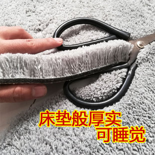 饰ins风长毛 加厚地毯客厅卧室房间沙发茶几垫床边毯满铺可爱装