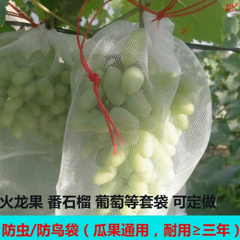 防虫鸟苦瓜密眼防鸟袋西红柿树上水果套袋果树无花果火龙果网罩