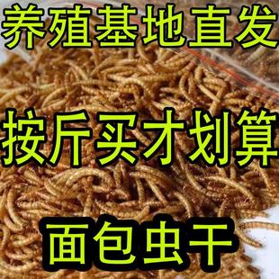 仓鼠粮食面包虫干黄粉虫八哥鹩哥零食刺猬饲料龙鱼芦丁刺猬鹦鹉鸟