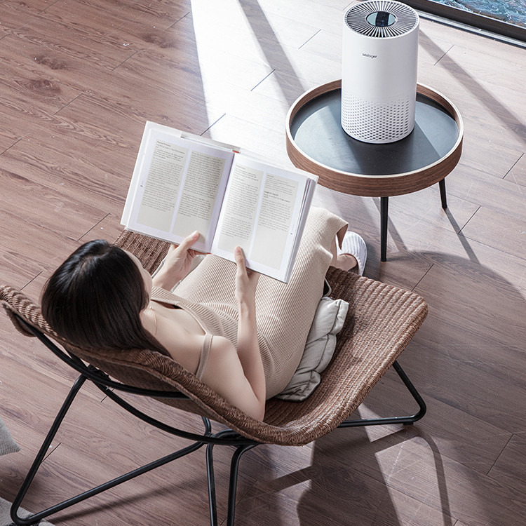 施诺格801桌面空气净化器办公室卧室床头小型除甲醛除烟味uv除菌,生活电器,桌面空气净化器,淘宝优惠券,粉丝福利购,淘宝优惠卷