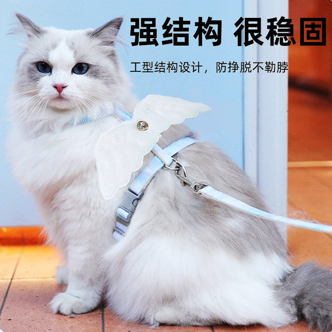 宠物用品可调节猫咪小翅膀牵引绳套装小型犬狗绳狗狗工字胸背带