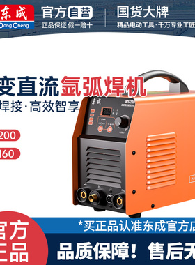 东成氩弧焊机WS-200逆变直流不锈钢焊机220V小型家用便携式电焊机