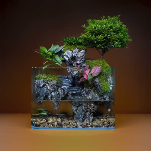 【無也秘境】屿境—小叶赤楠竹柏真植物微景观盆栽尺寸25*16*18cm