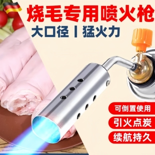 煤气家用便携喷火器液化气烧猪毛神器 德国精工喷枪喷火枪卡式